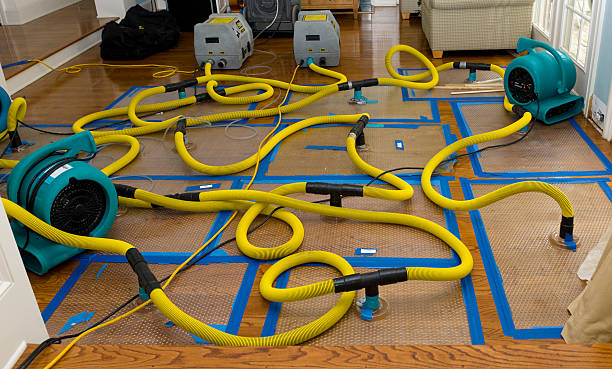 Professional Flood Damage Restoration technician working in Woodruff, UT